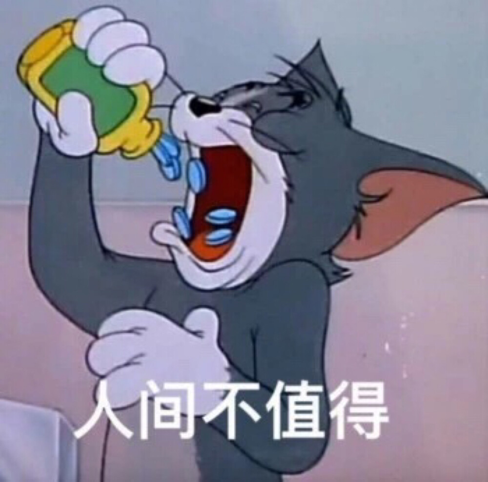 猫和老鼠系列