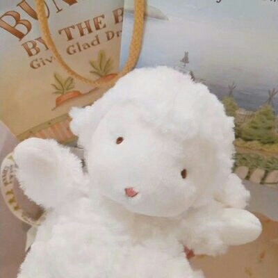 超可爱小绵羊#二传dt樊波波