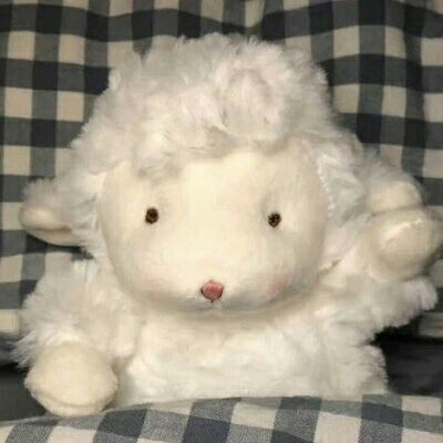 超可爱小绵羊#二传dt樊波波