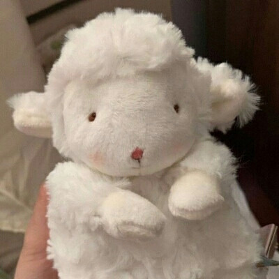 超可爱小绵羊#二传dt樊波波