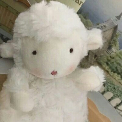 超可爱小绵羊#二传dt樊波波