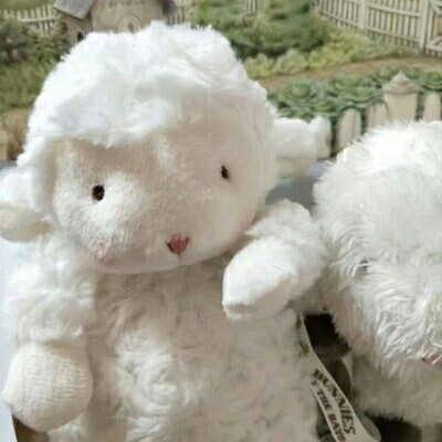 超可爱小绵羊#二传dt樊波波