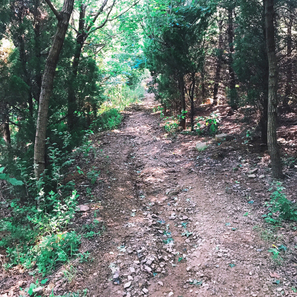 秋高气爽来爬爬山
太阳伞⛱️，遮阳帽
墨镜️，防晒衣……
统统不带，尽情感受阳光☀️