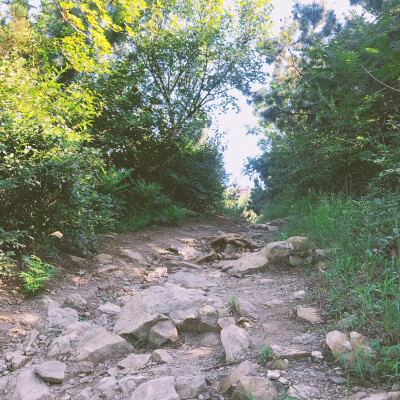 秋高气爽来爬爬山
太阳伞⛱️，遮阳帽
墨镜️，防晒衣……
统统不带，尽情感受阳光☀️