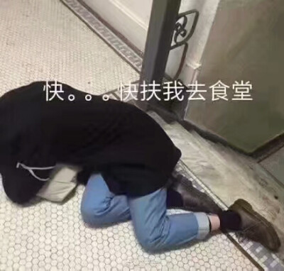 表情包子