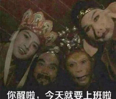 表情包子