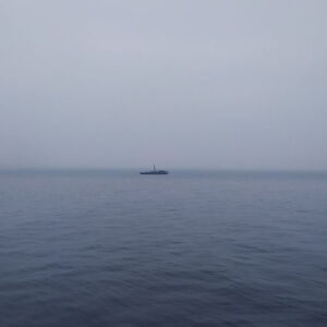 你这个时候又在干什么呢