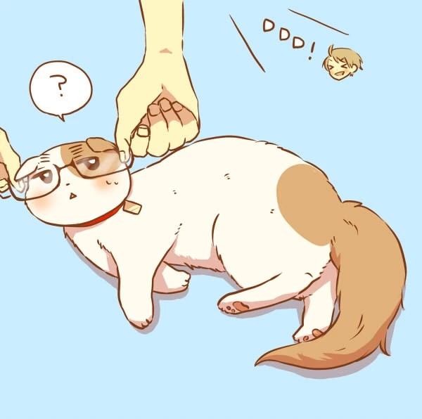 p站搬运作者マイ侵删可爱的米英喵