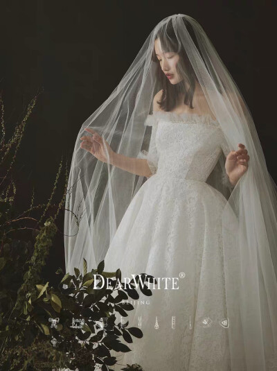 亲爱的白《甜梦歌者》婚纱2019新款婚轻婚纱蕾丝复古宫廷中长袖女