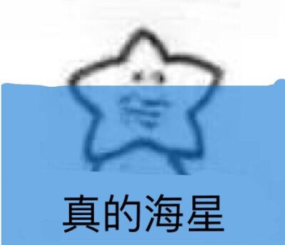 海星系列二