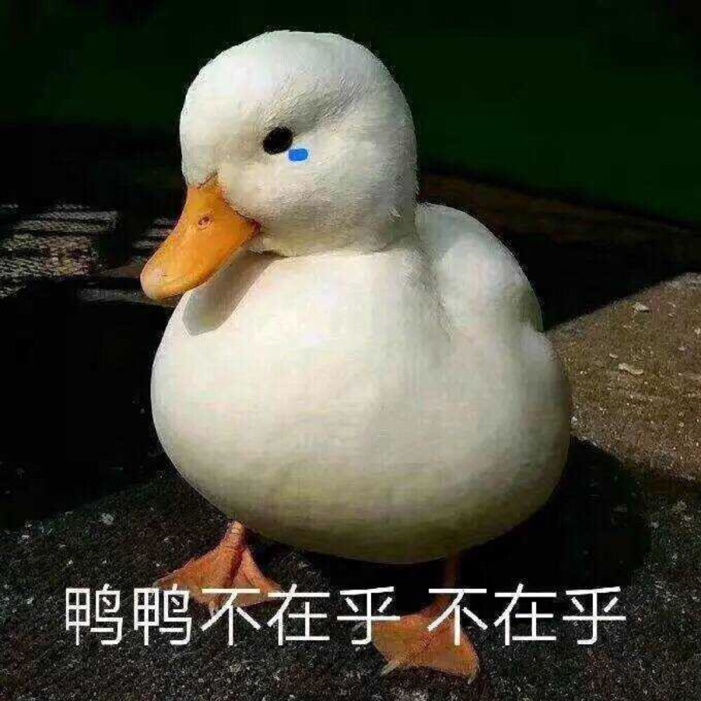 你怕是单身出幻觉了