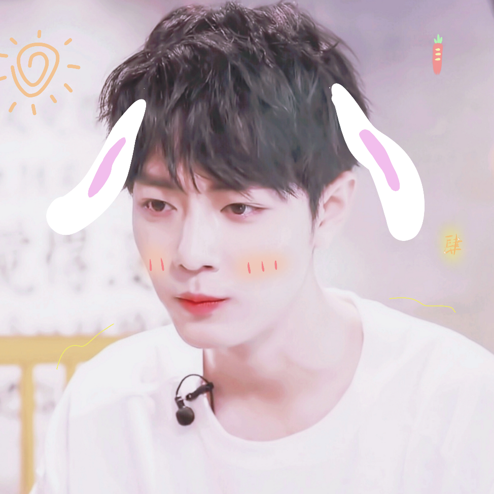 肖战 二传注明堆糖宋居凉 除水印司马