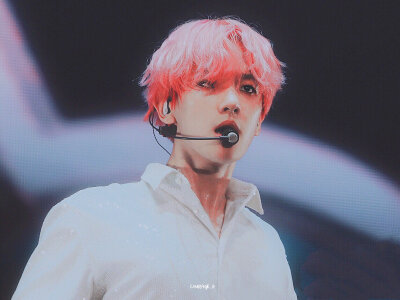 EXO 五巡 边伯贤