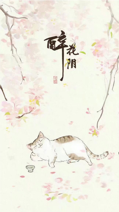 猫咪壁纸 第四期