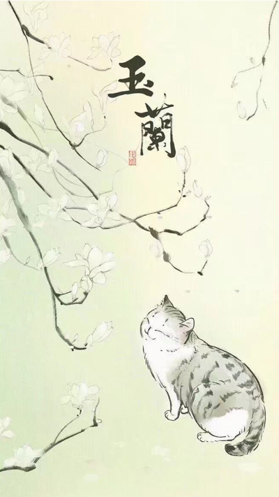 猫咪壁纸 第四期