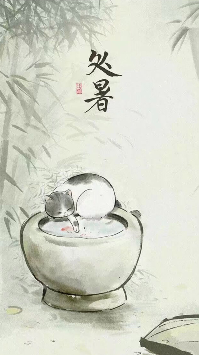 猫咪壁纸 第四期