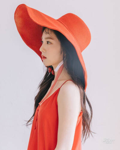 red velvet red favor 白干妈 irene 裴珠泫