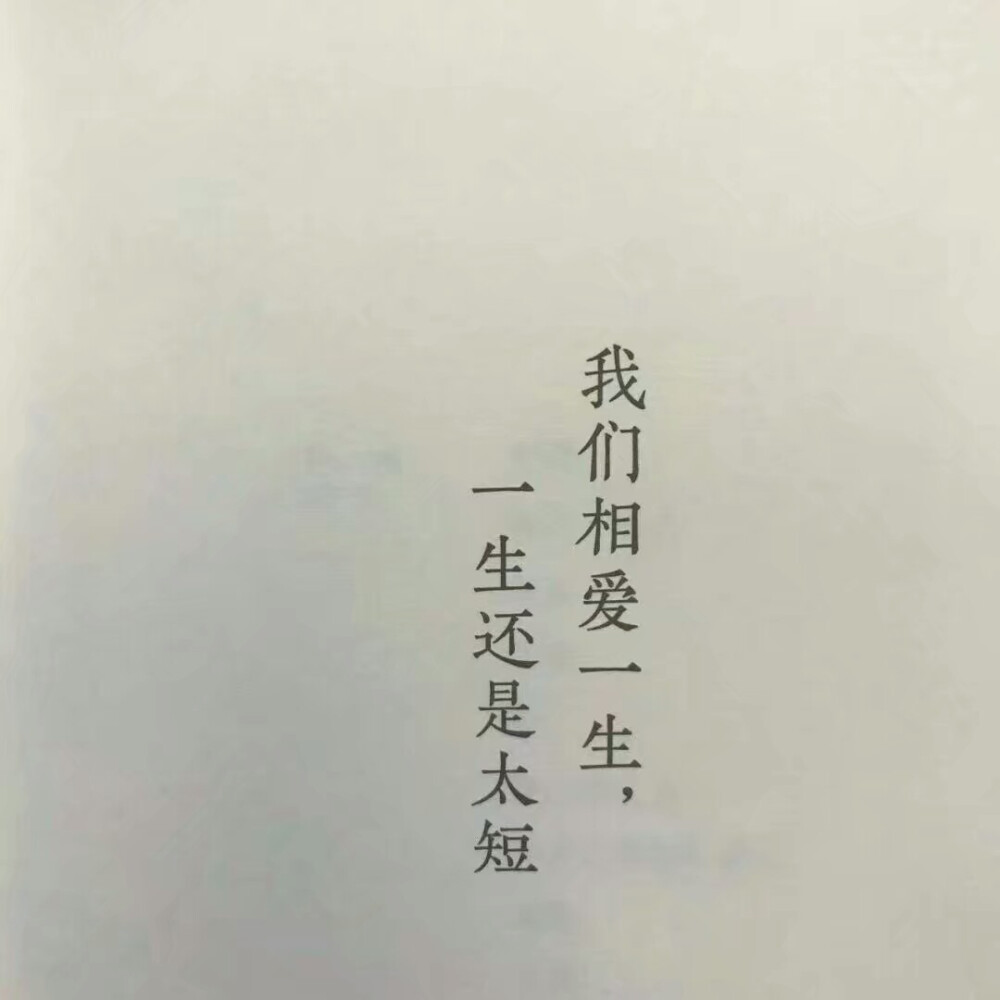 沈从文张兆和