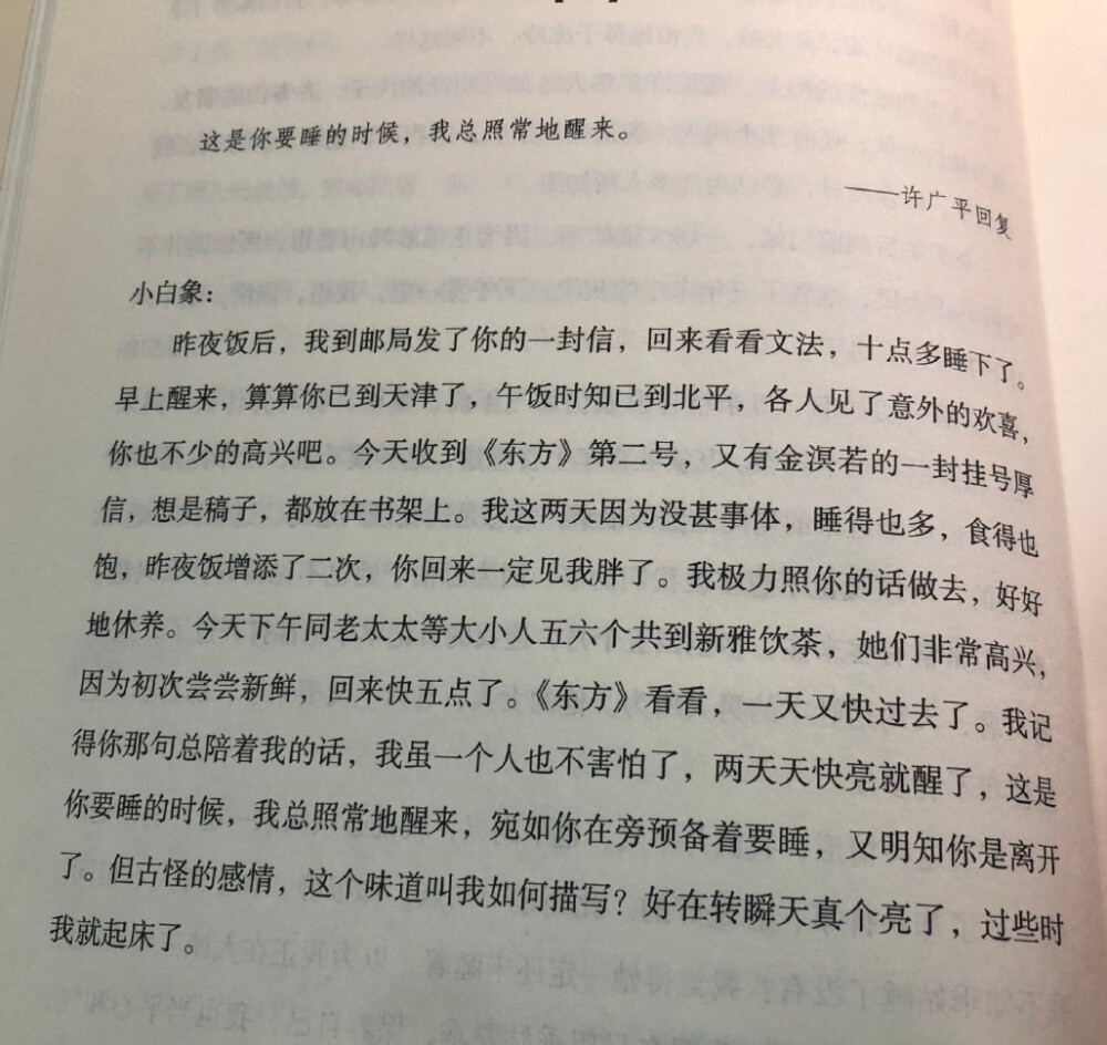 鲁迅许广平