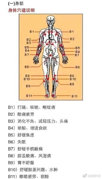 最全人体穴道图 有空自己捏捏吧 心肝脾肺肾都畅通了。