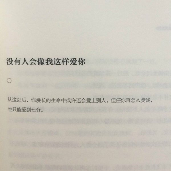 没有人会像我这样爱你