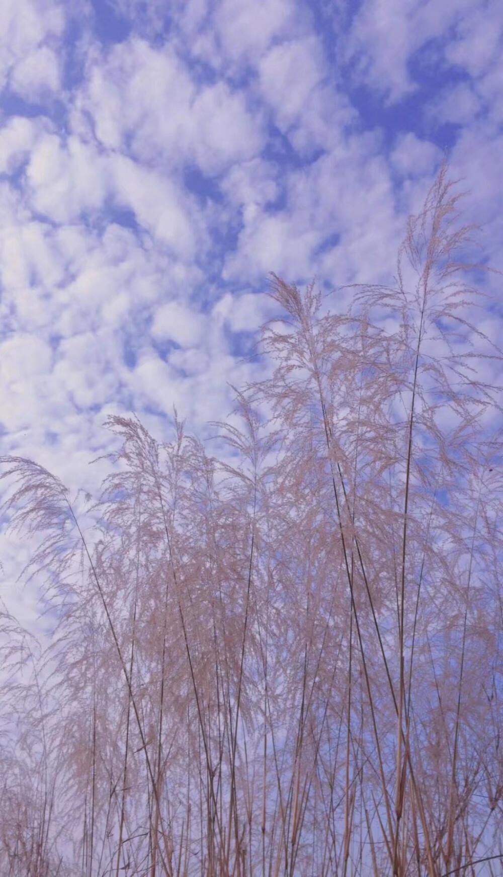 今日份九宫图～