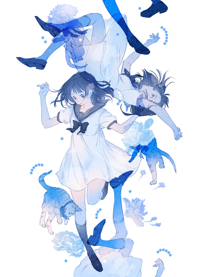 【blue carnation】【画师：ajimita】【画师ID：2568265】