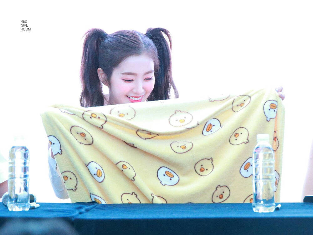 red velvet 裴珠泫irene 