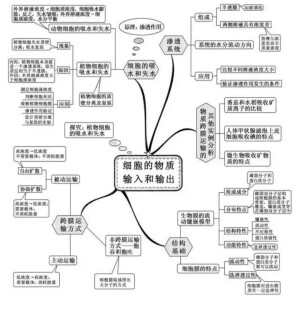 高中生物芝士体系˙Ⱉ˙ฅ