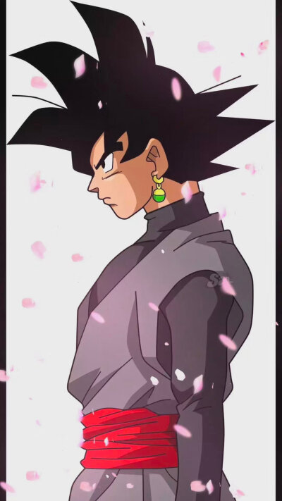 七龙珠（童年回忆）