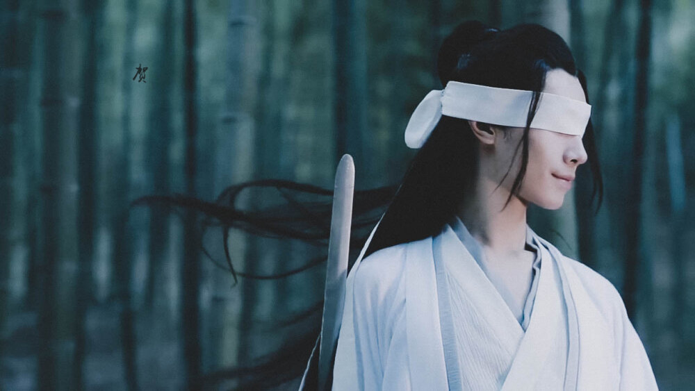 陈情令 晓星尘 宋继扬