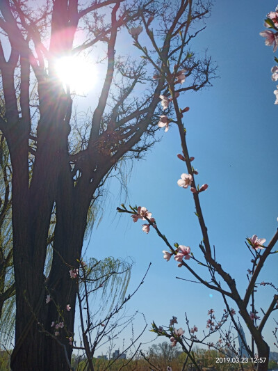 大明湖的姹紫嫣红