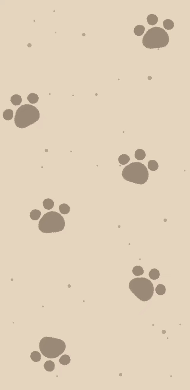 小熊软糖