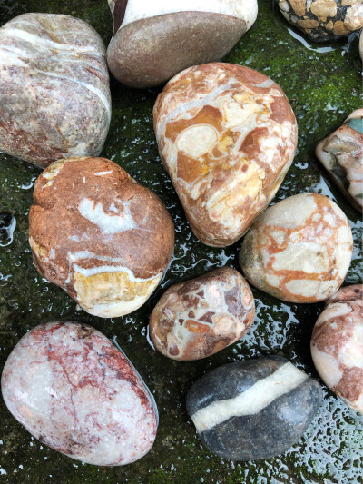 这些都是近期出游时候捡回来的，石头的美真的是很神奇～大自然的鬼斧神工