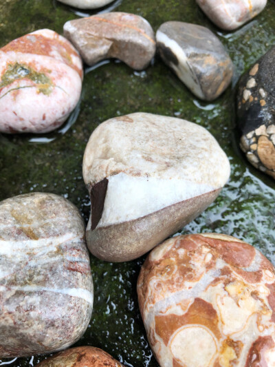 这些都是近期出游时候捡回来的，石头的美真的是很神奇～大自然的鬼斧神工