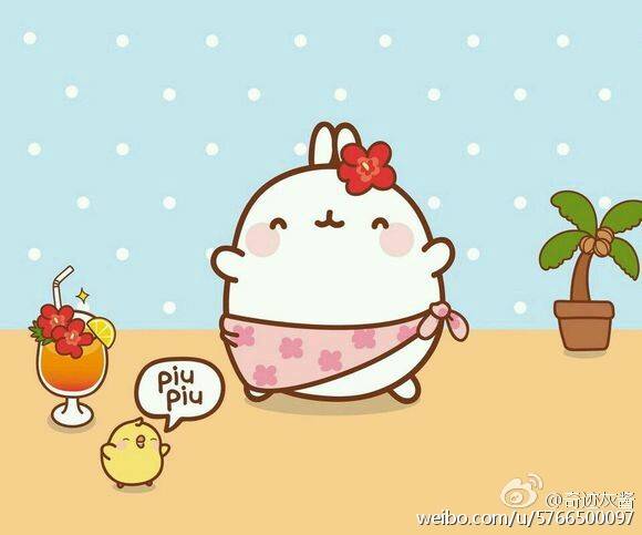 molang～