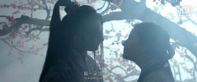 三生三世十里桃花电影版 杨洋~夜华，刘亦菲~白浅（素素）