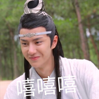陈情令表情包