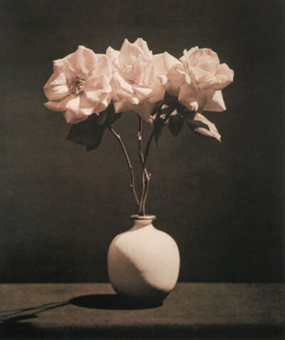 静物.花
摄影人：Robert Mapplethorpe ???