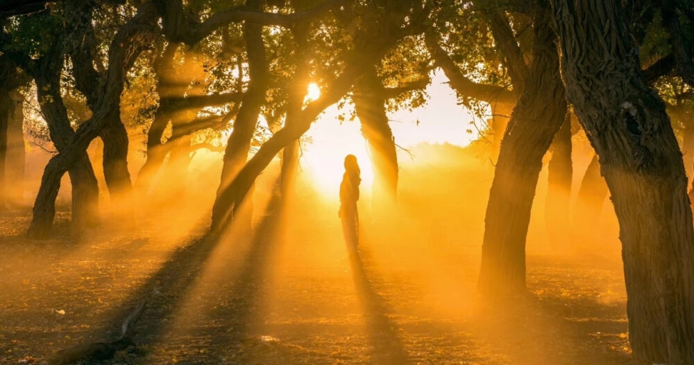 彪悍的人生，不需要解释。只要你按时到达目的地，很少有人在乎你开的是奔驰还是拖拉机。