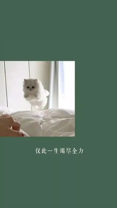 墨绿色壁纸