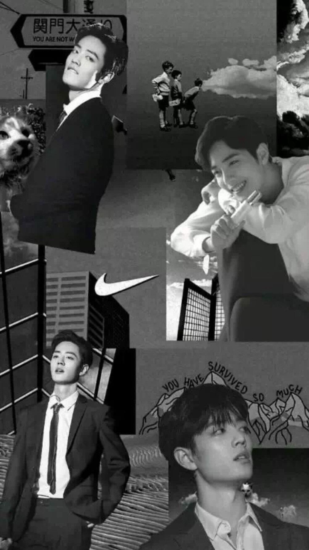 肖战壁纸禁二转二改
dt.lye