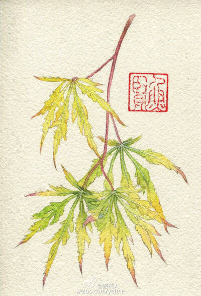 花花草草～