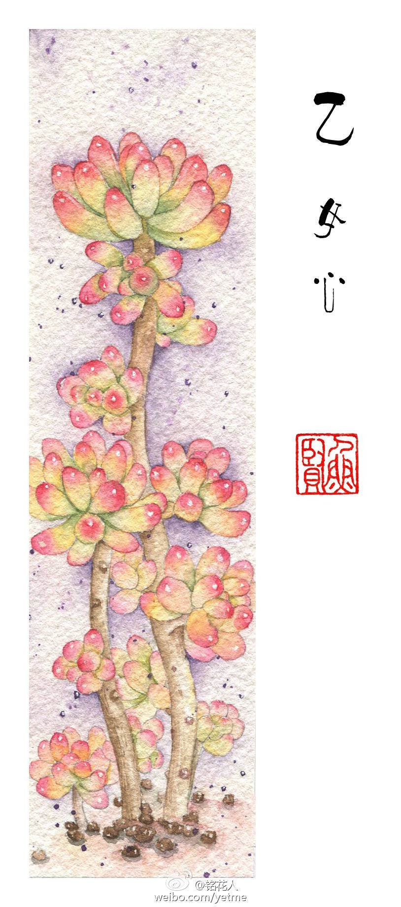 花花草草～