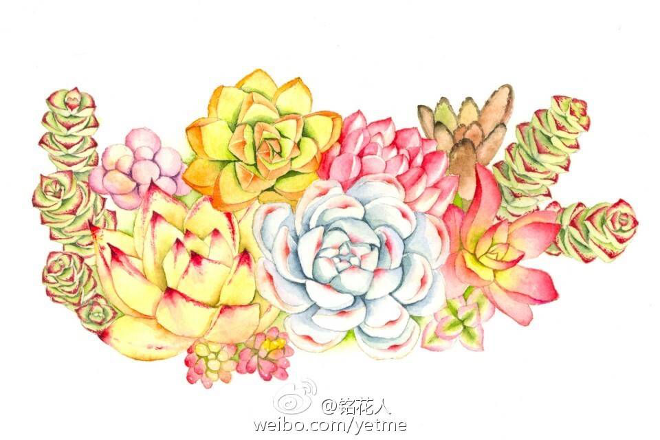 花花草草～