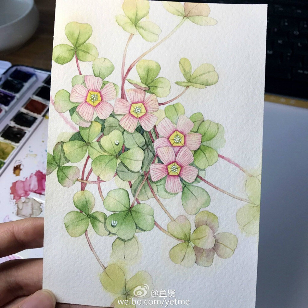 花花草草～