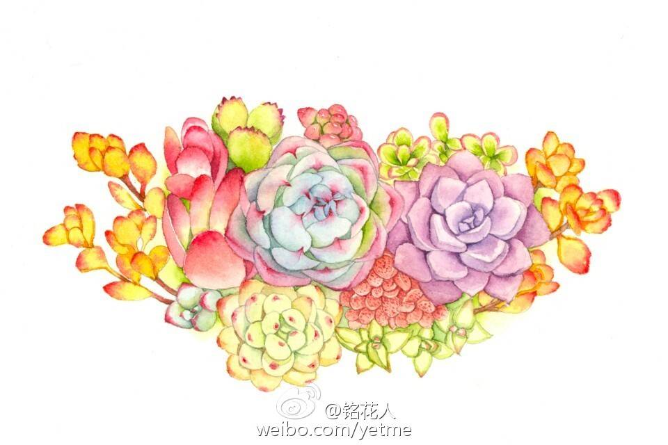 花花草草～