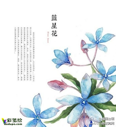 花花草草～