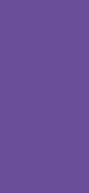 纯色 紫色壁纸