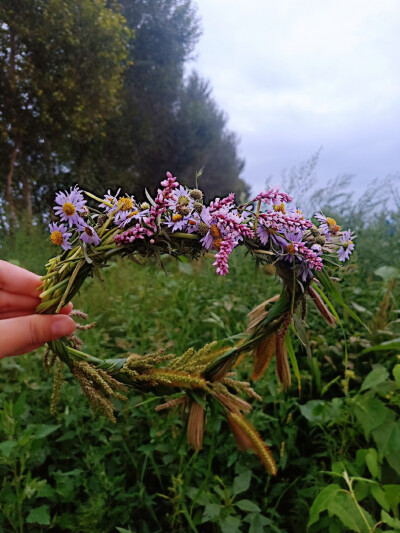 花环 (自己编的野花花环哦）(*^ω^*)